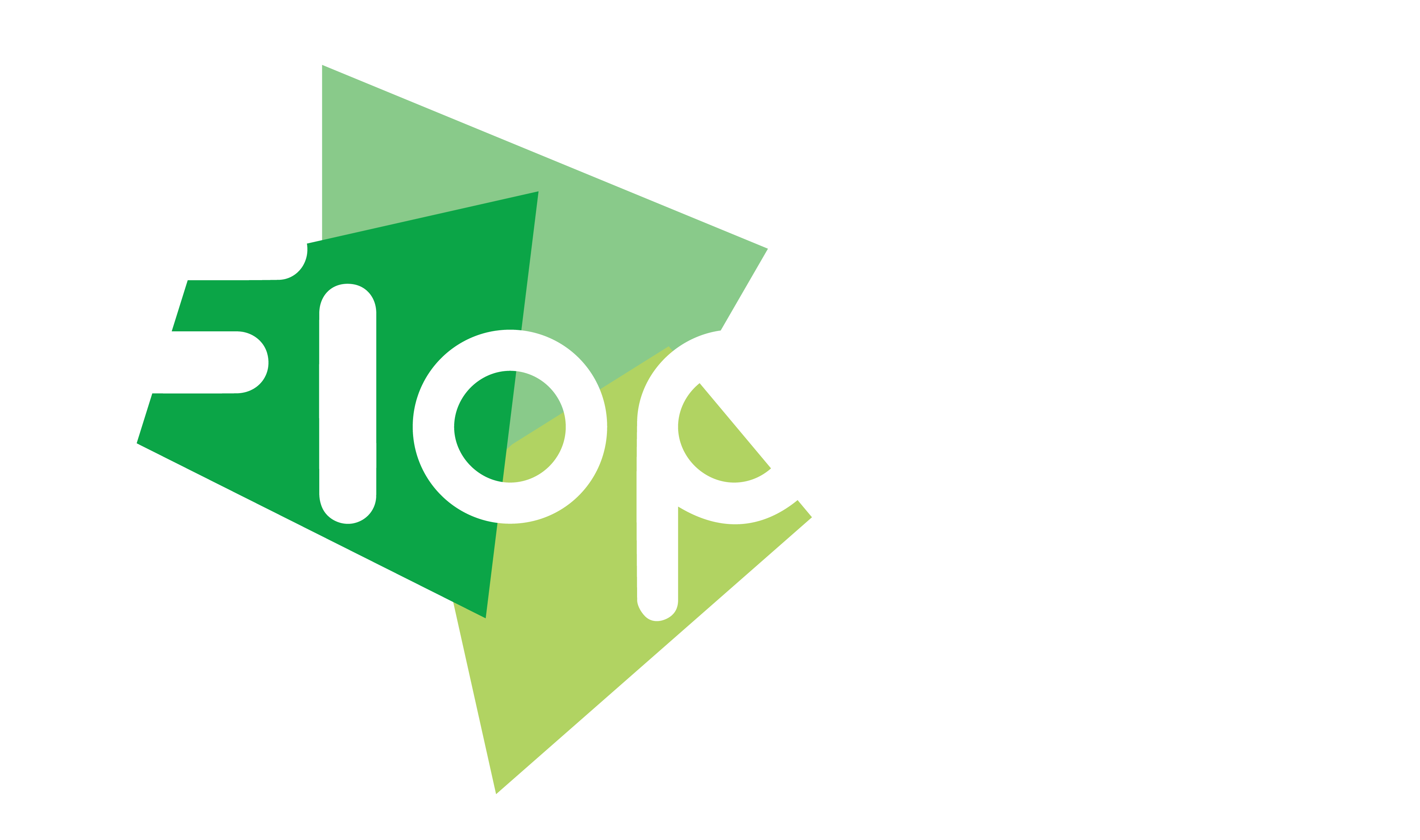 Floppit Logo